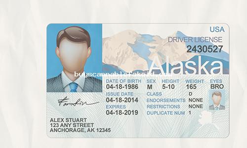 Alaska Drivers License Fake Scannable - Buy Fake Id | Best Fake ...