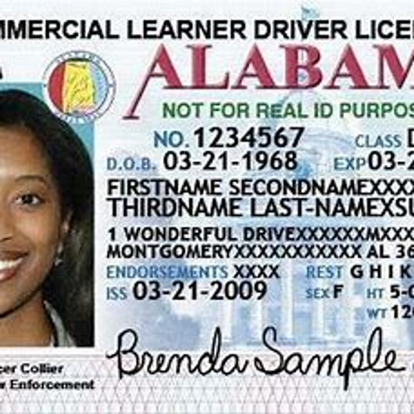 Alabama Fake Id Charges