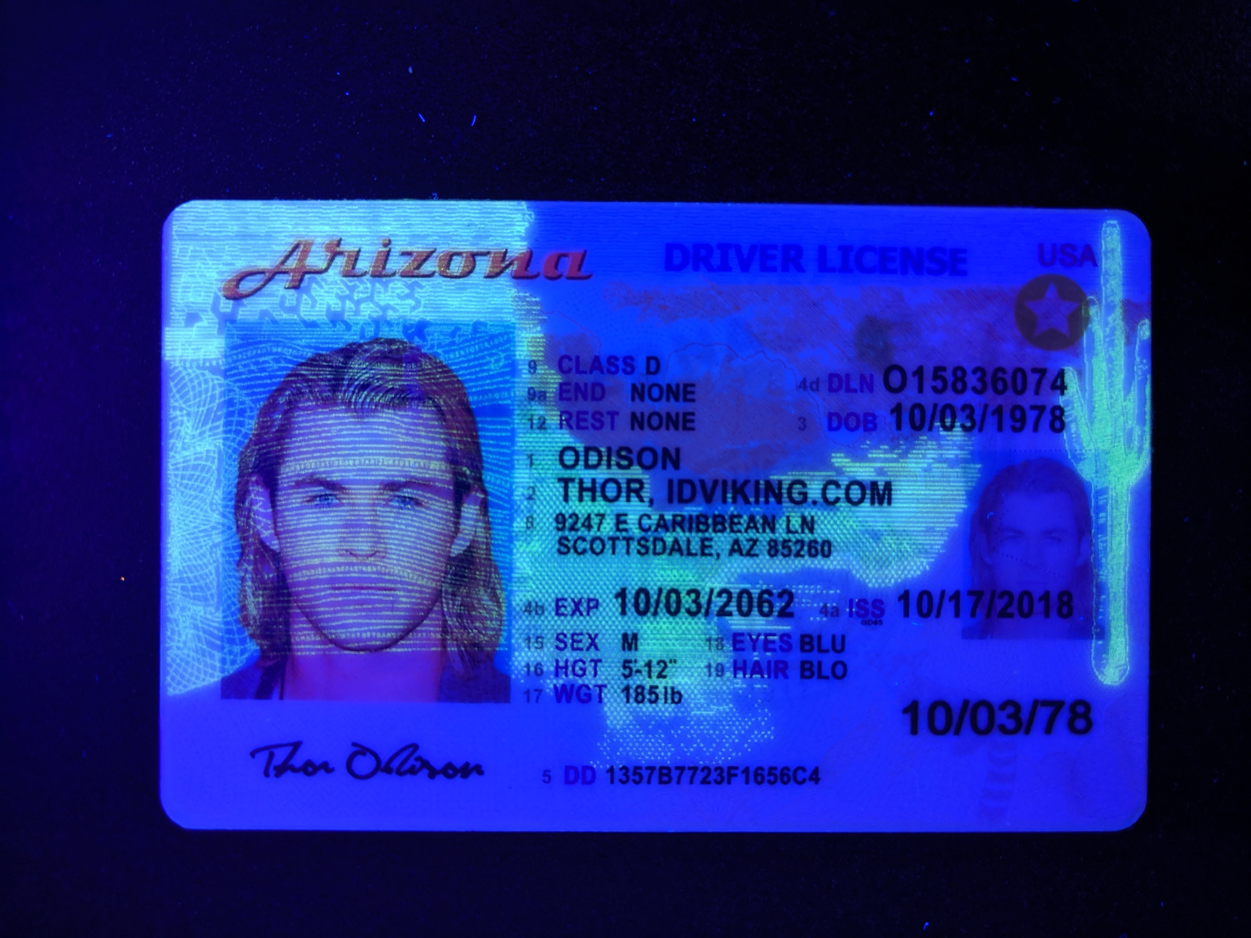 Arizona Scannable fake id