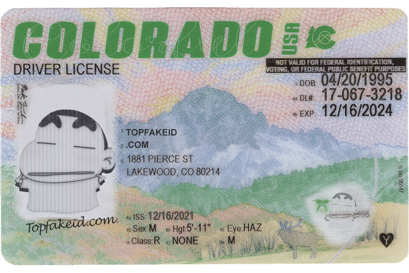 Best Colorado Fake Id