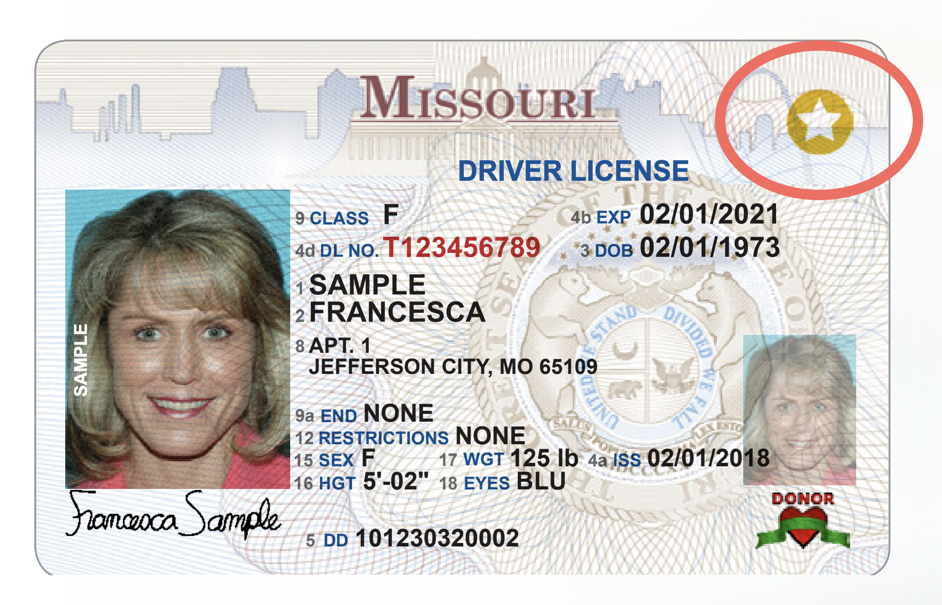 Best Kansas Fake Id