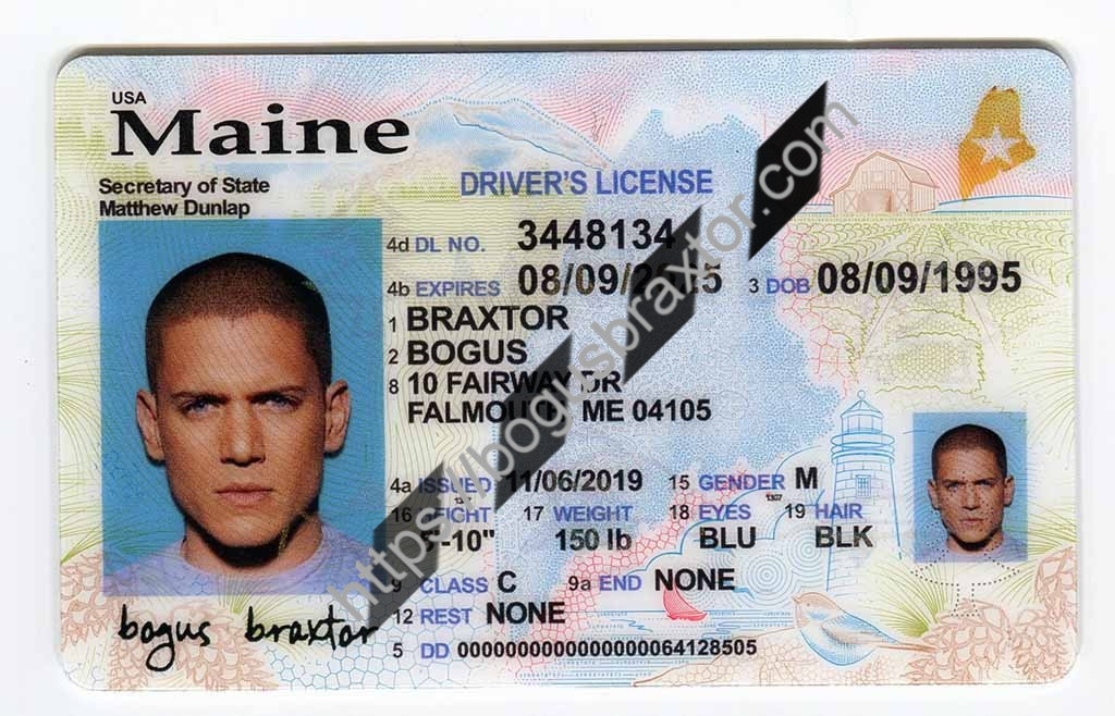 Best Maine Fake Id