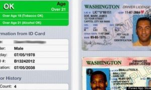 best scannable fake id