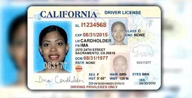 Buy California Fake Id