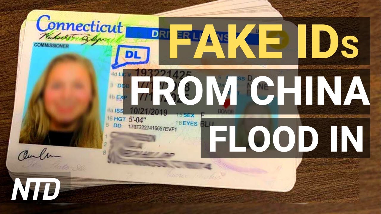 Buy Connecticut Fake Id