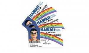 buy fake id card