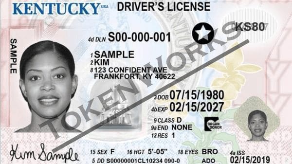 Buy Kentucky Fake Id