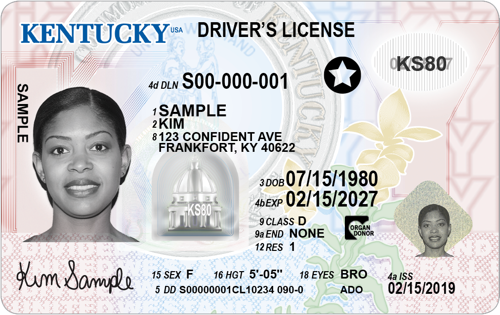 Buy Kentucky Fake Id