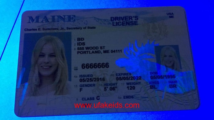 Buy Maine Fake Id