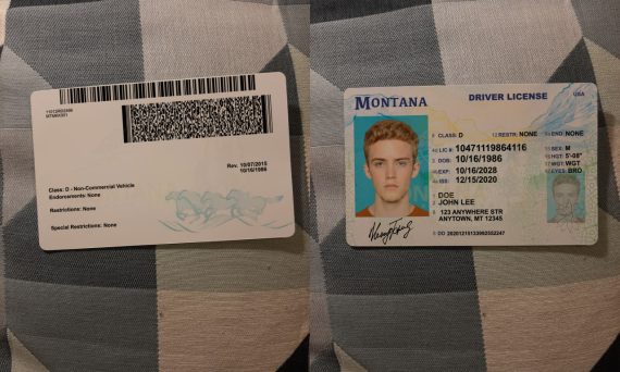 Buy Montana Fake Id