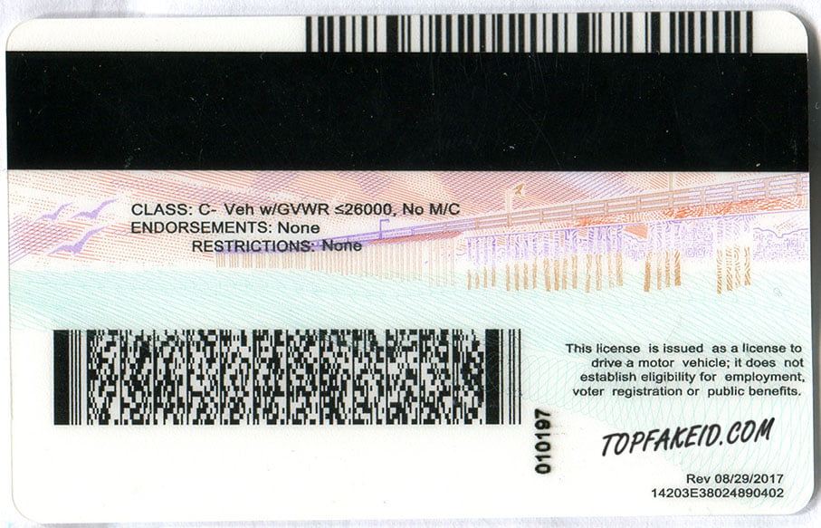 California Fake Id Front And Back