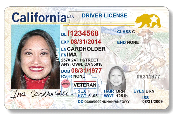 California Fake Id Roblox