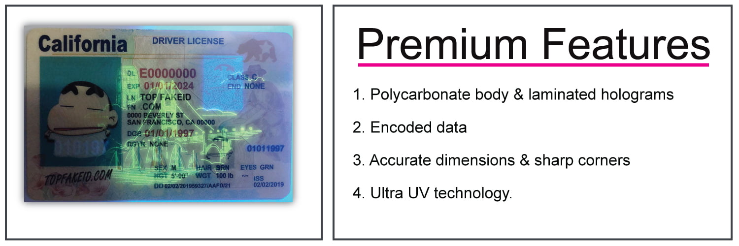 California Fake Id Templates