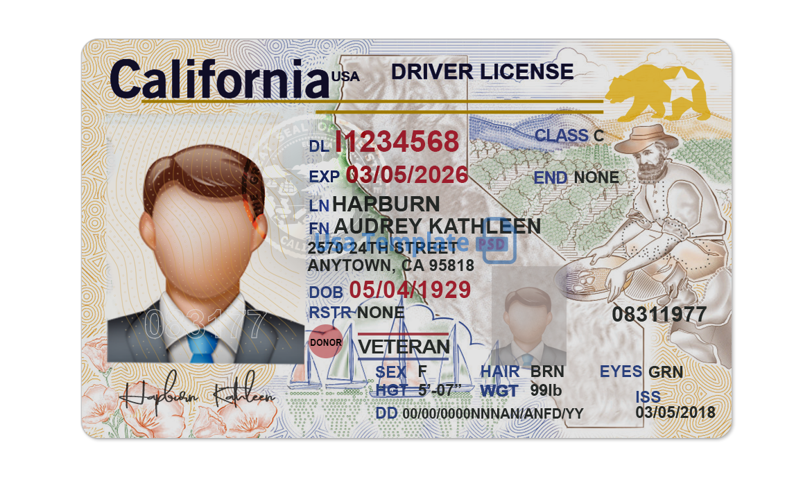 California Fake Id Templates