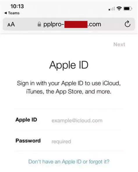 can i use a fake name for apple id