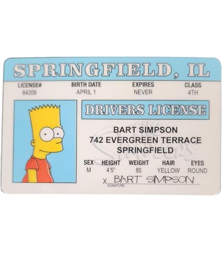 cartoon fake id