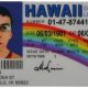 cheap fake id