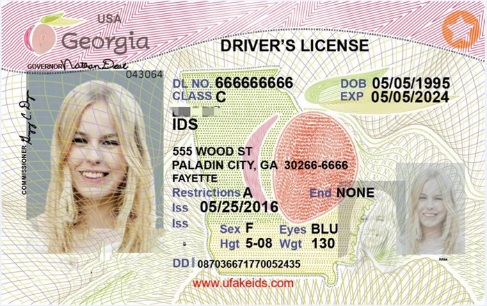 Cheap Georgia Fake Id