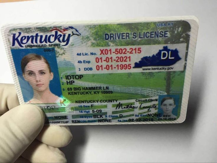 Cheap Kentucky Fake Id