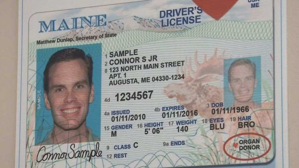 Cheap Maine Fake Id