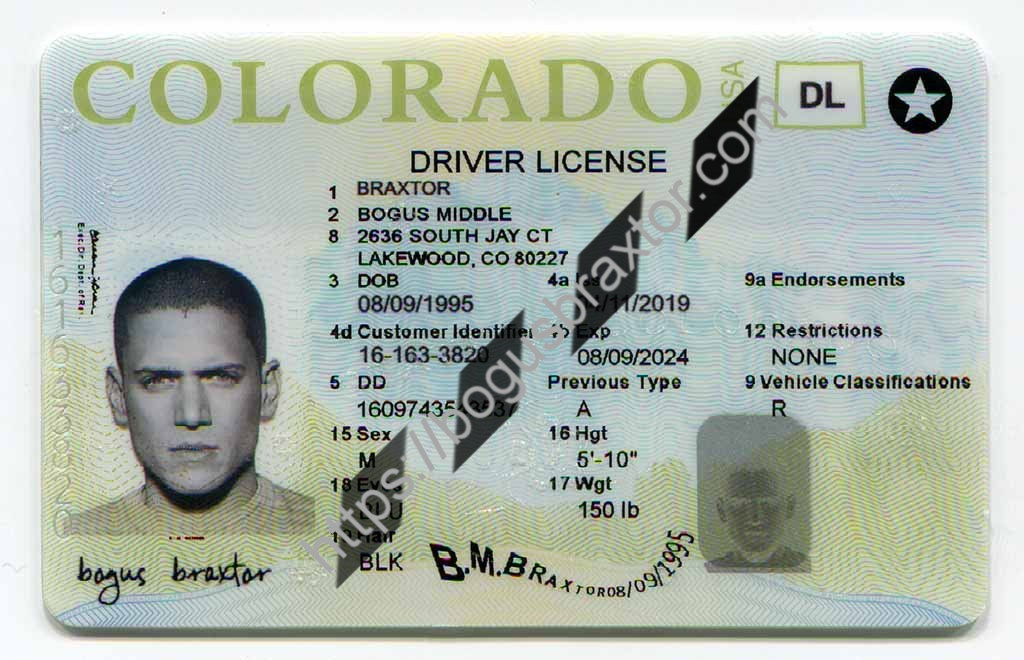 Colorado Fake Id Website