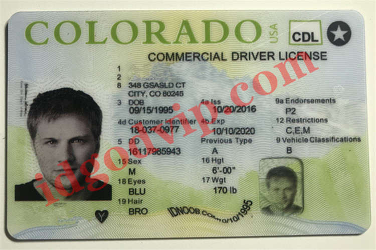 Colorado Scannable fake id