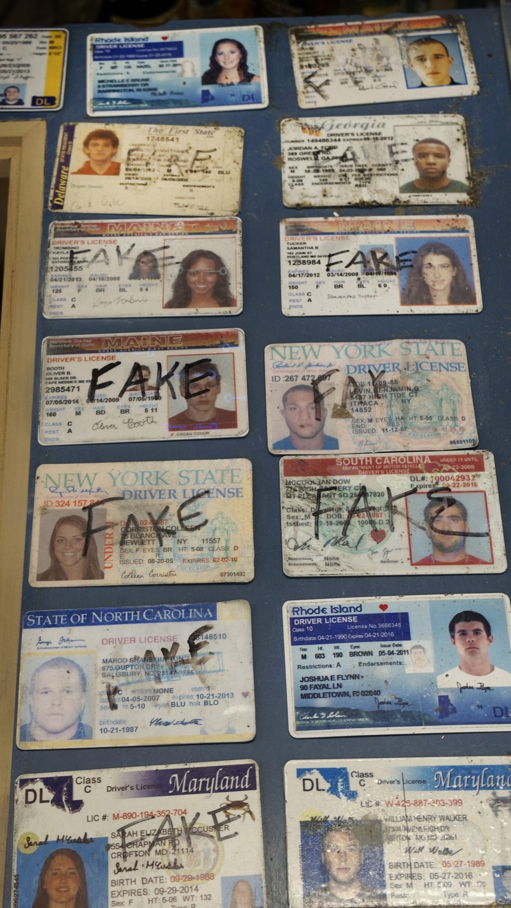 connecticut fake id