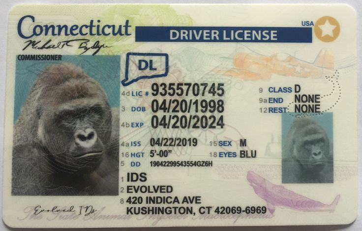 Connecticut Scannable fake id