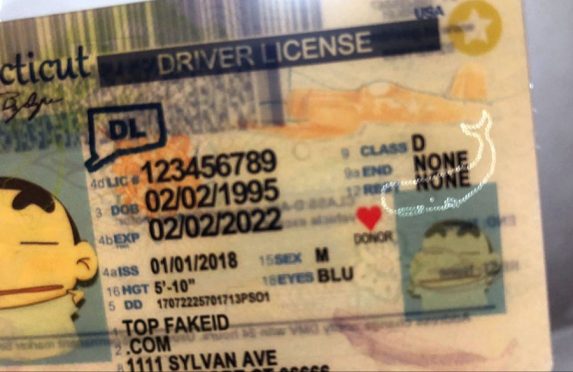 Connecticut Scannable fake id