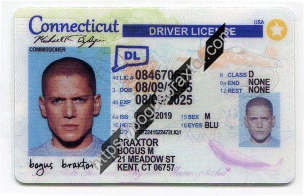 Connecticut Scannable fake id