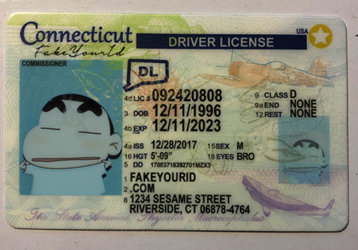 Connecticut Scannable fake id