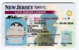 Connecticut Scannable fake id