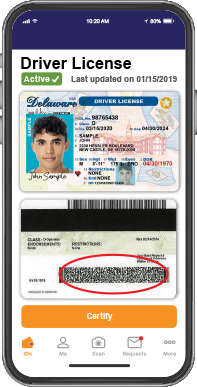 Delaware Fake Id Front And Back