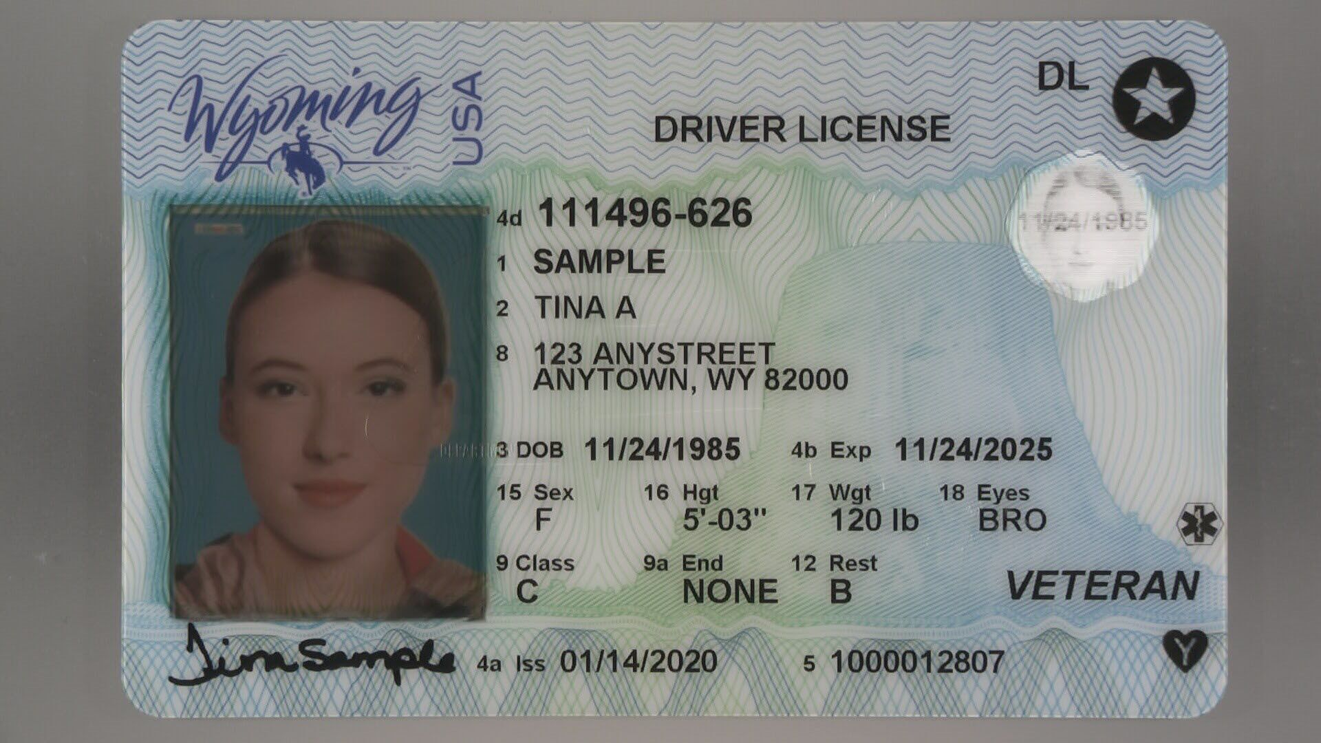 Delaware Fake Id Templates