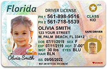 Delaware Fake Id Templates