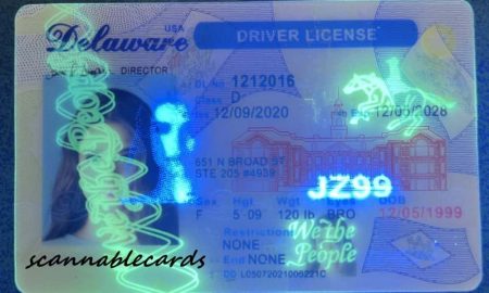 Delaware Scannable fake id