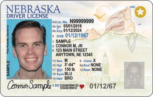 do fake id scan