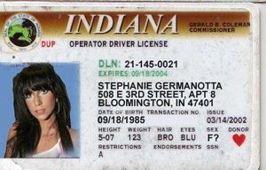 do fake ids actually work