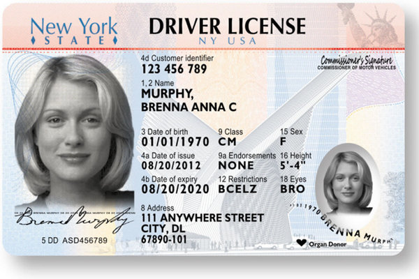 driver license fake id front and back