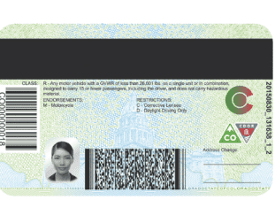 driver license fake id front and back