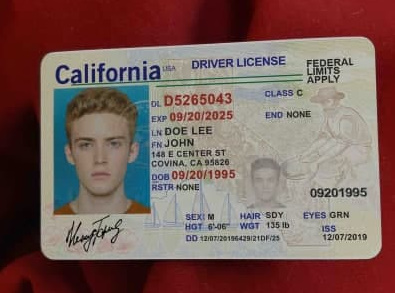 driver license fake id front and back