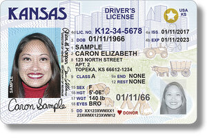 fake american id