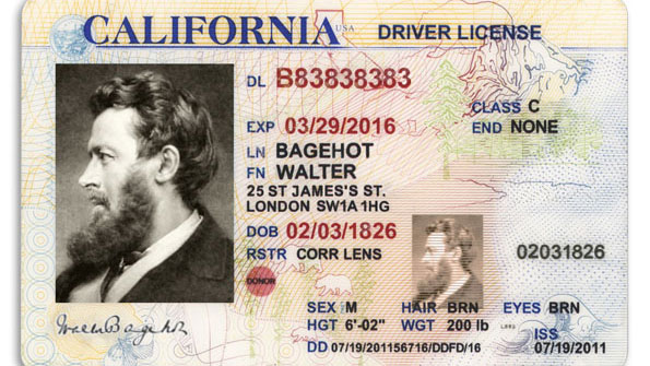 fake california id card