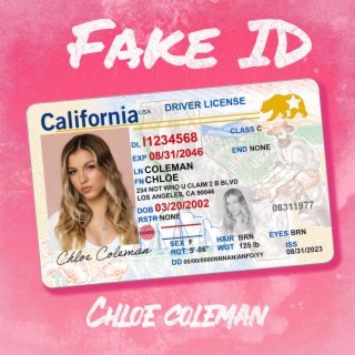 fake california id card