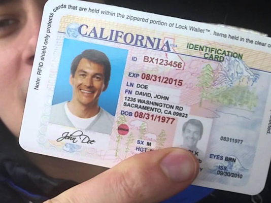 fake california id card