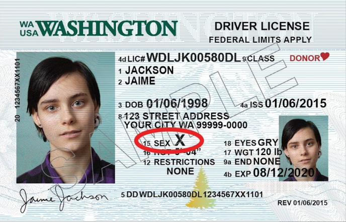 fake california id template