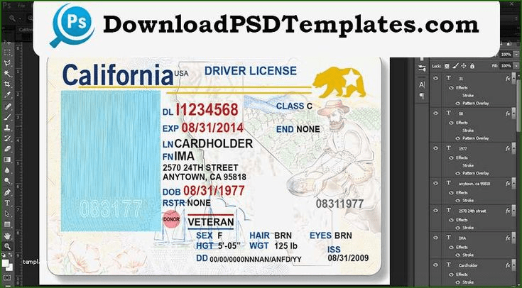 fake california id template