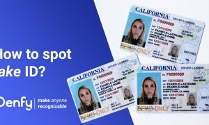 fake id front and back