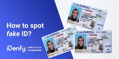 fake id front and back