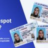 fake id front and back